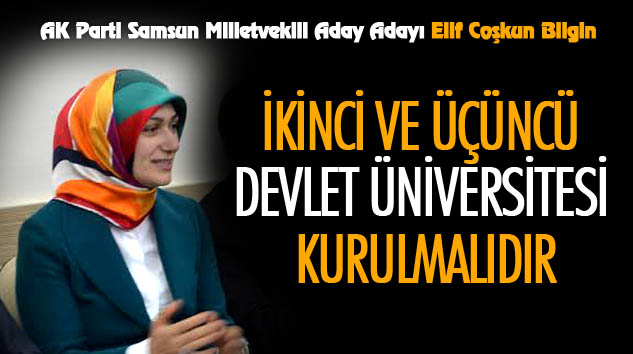 Elif Coşkun Bilgin: İkinci Ve Üçüncü Devlet Üniversitesi Kurulmalıdır