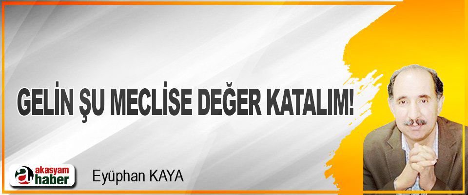 Gelin şu meclise değer katalım!