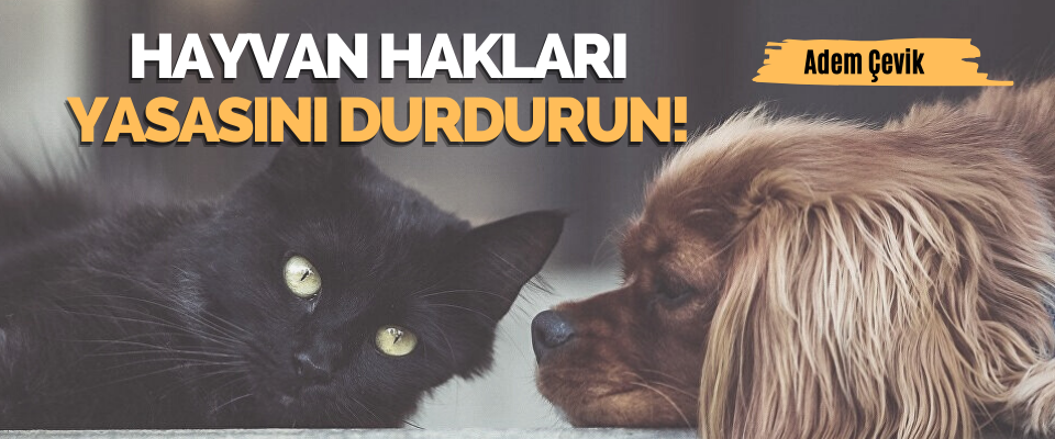 Hayvan Haklari Yasasini Durdurun!