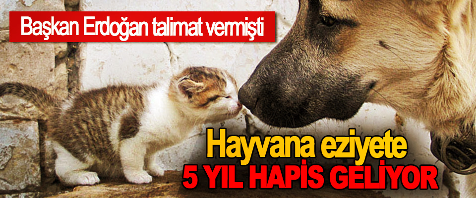 Hayvana eziyete 5 Yıl Hapis Geliyor