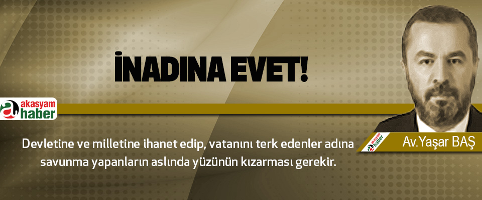 İnadına Evet!