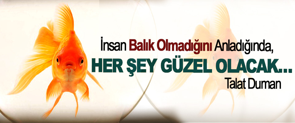 İnsan Balık Olmadığını Anladığında, Her Şey Güzel Olacak…