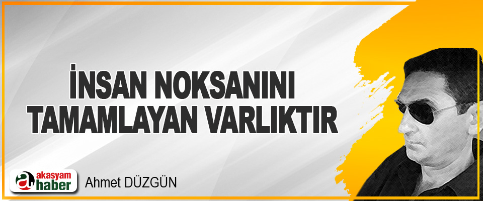 İnsan Noksanını Tamamlayan Varlıktır