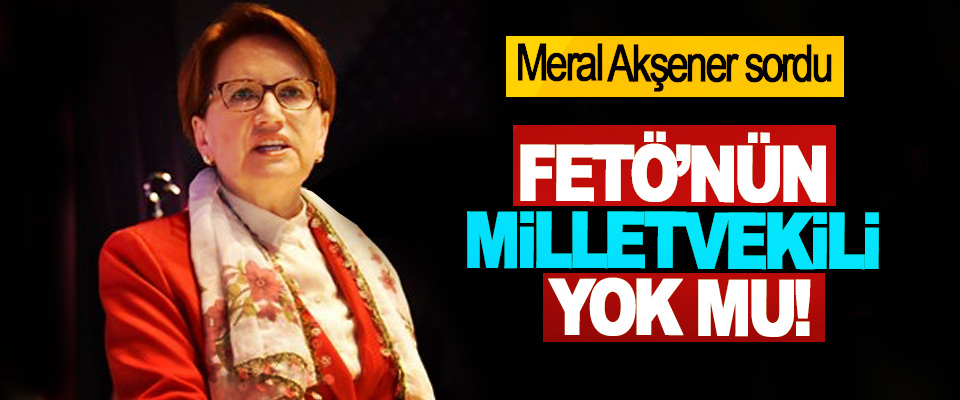 Meral Akşener sordu: FETÖ’nün milletvekili yok mu!