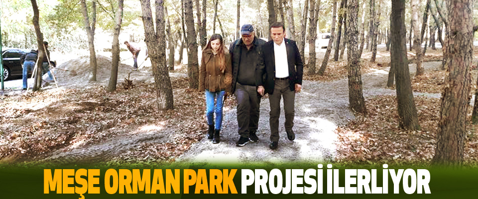 Meşe Orman Park Projesi İlerliyor