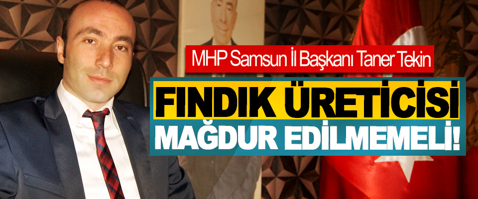 MHP Samsun İl Başkanı Taner Tekin; Fındık Üreticisi Mağdur Edilmemeli!