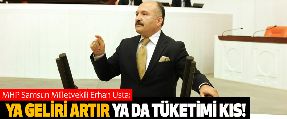MHP Samsun Milletvekili Erhan Usta: Ya geliri artır ya da tüketimi kıs!