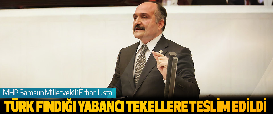 MHP Samsun Milletvekili Erhan Usta: Türk Fındığı Yabancı Tekellere Teslim Edildi