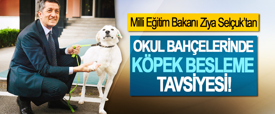 Milli Eğitim Bakanı Ziya Selçuk’tan Okul bahçelerinde köpek besleme tavsiyesi!