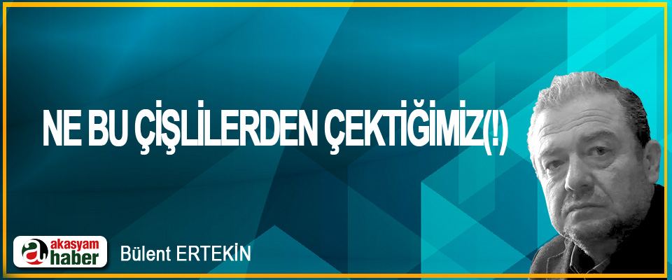 Ne Bu Çişlilerden Çektiğimiz(!)