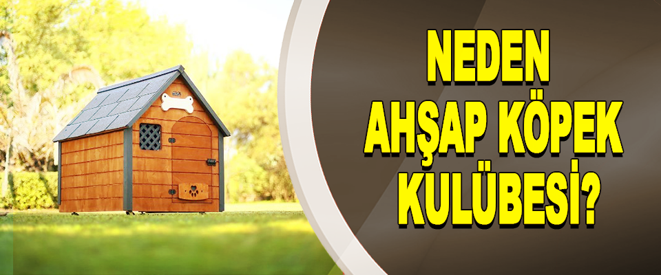 Neden Ahşap Köpek Kulübesi?