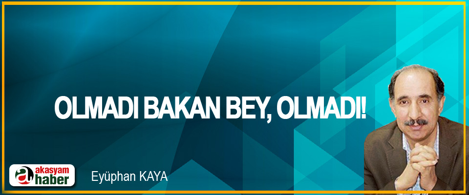 Olmadı bakan bey, olmadı!