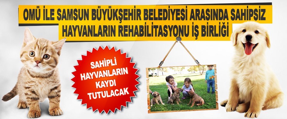 Omü İle Samsun Büyükşehir Belediyesi Arasında Sahipsiz Hayvanların Rehabilitasyonu İş Birliği