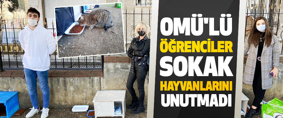 Omü'lü Öğrenciler Sokak Hayvanlarını Unutmadı