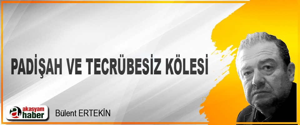 Padişah ve Tecrübesiz Kölesi
