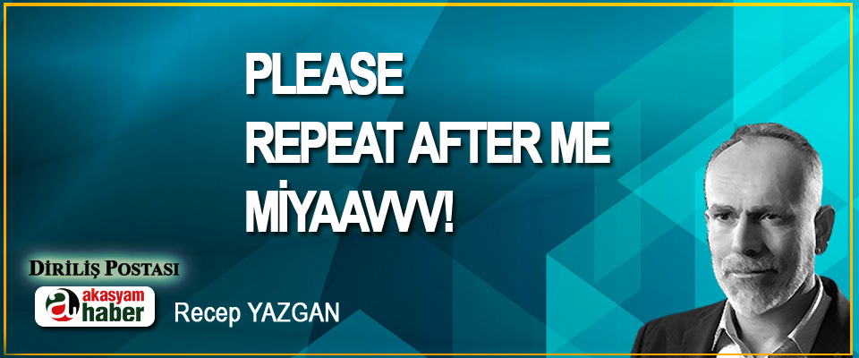 Please repeat after me; Miyaavvv!