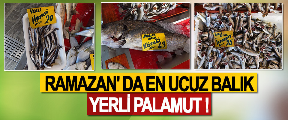 Ramazan' da en ucuz balık yerli palamut !