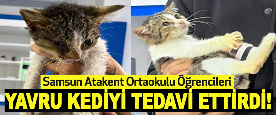Samsun Atakent Ortaokulu Öğrencileri Yavru Kediyi Tedavi Ettirdi!