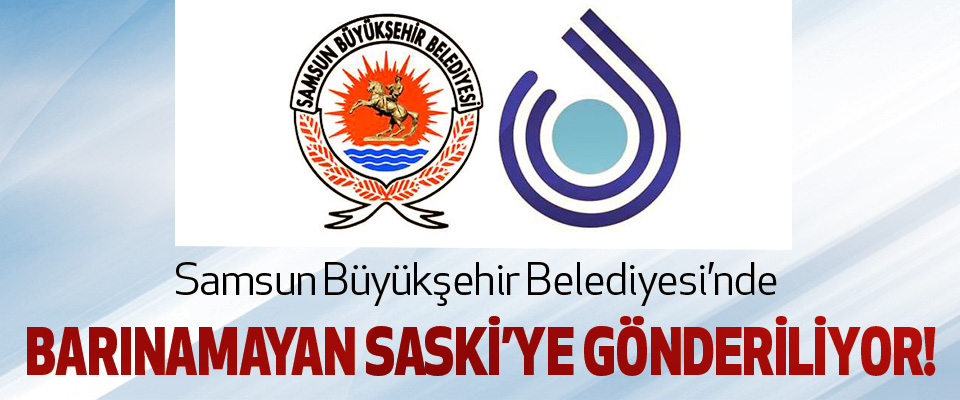 Samsun Büyükşehir Belediyesi’nde Barınamayan Saski’ye Gönderiliyor!