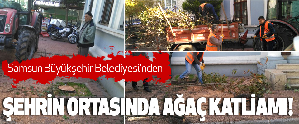 Samsun Büyükşehir Belediyesi’nden Şehrin ortasında ağaç katliamı!