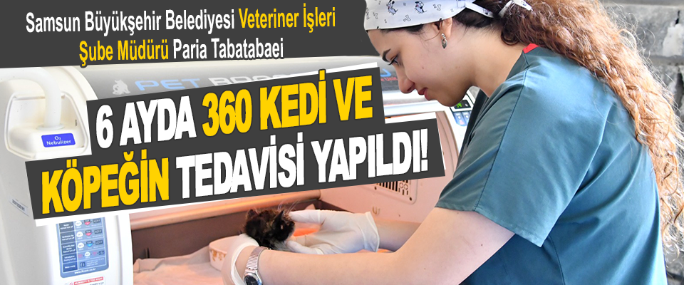 Samsun Büyükşehir Belediyesi Veteriner İşleri Şube Müdürü Paria Tabatabaei 6 Ayda 360 Kedi ve Köpeğin Tedavisi Yapıldı!