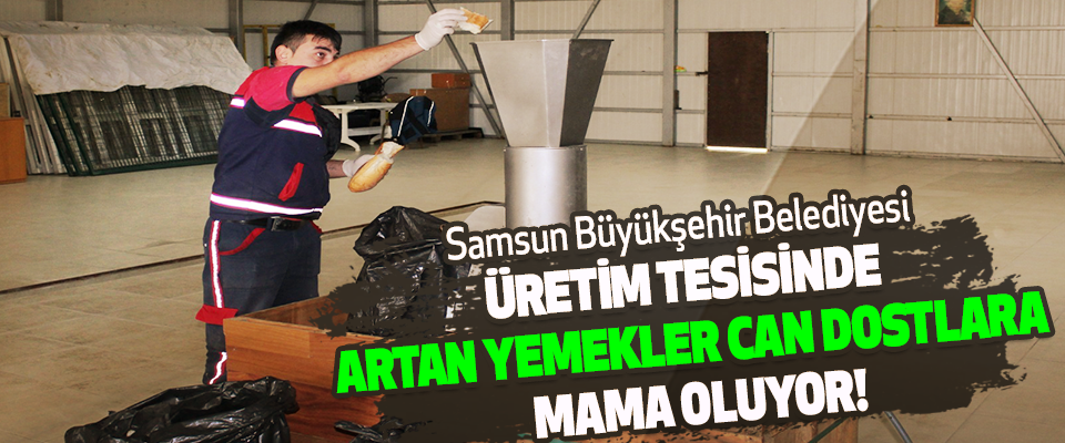 Samsun Büyükşehir Belediyesi Üretim Tesisinde Artan Yemekler Can Dostlara Mama Oluyor!