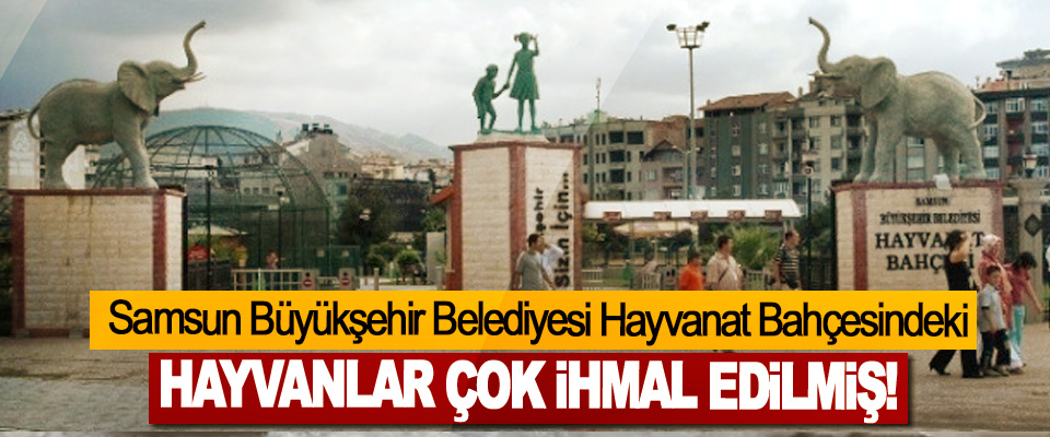 Samsun Büyükşehir Belediyesi Hayvanat Bahçesindeki Hayvanlar Çok İhmal Edilmiş!