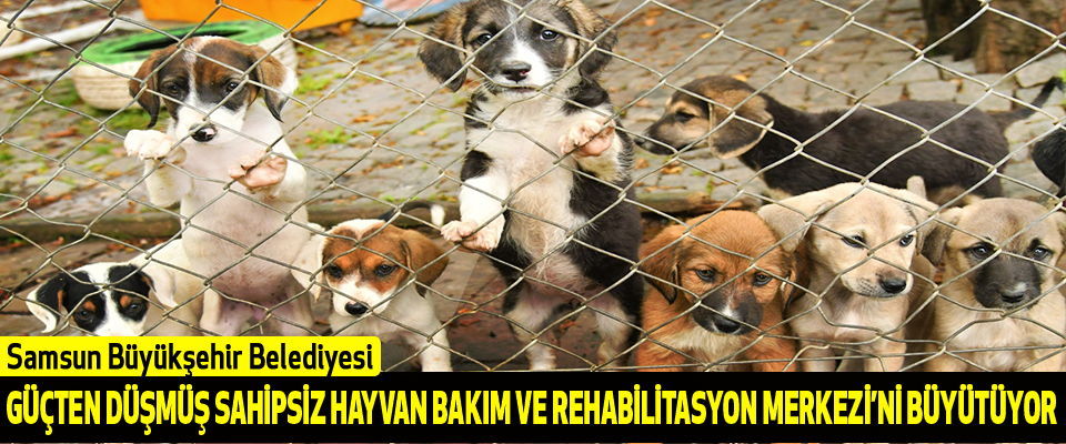 Samsun Büyükşehir Belediyesi Güçten Düşmüş Sahipsiz Hayvan Bakım ve Rehabilitasyon Merkezi’ni Büyütüyor