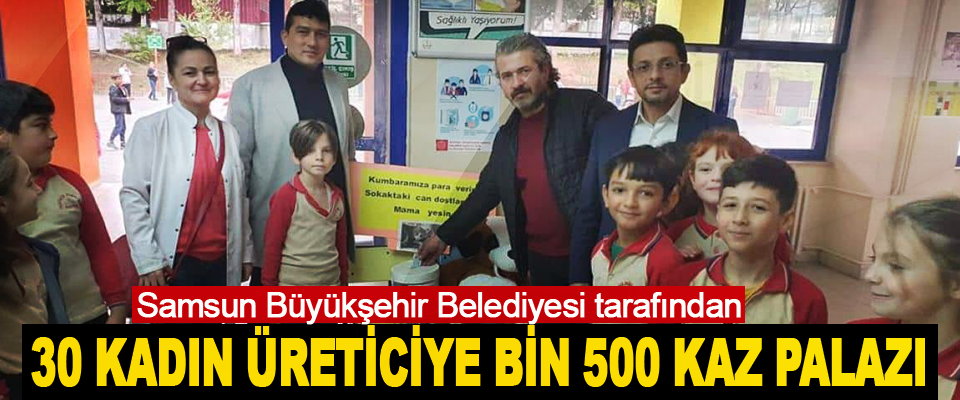 Samsun Büyükşehir Belediyesi tarafından 30 Kadın Üreticiye Bin 500 Kaz Palazı