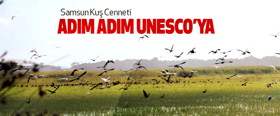 Samsun Kuş Cenneti Adım Adım Unesco’ya