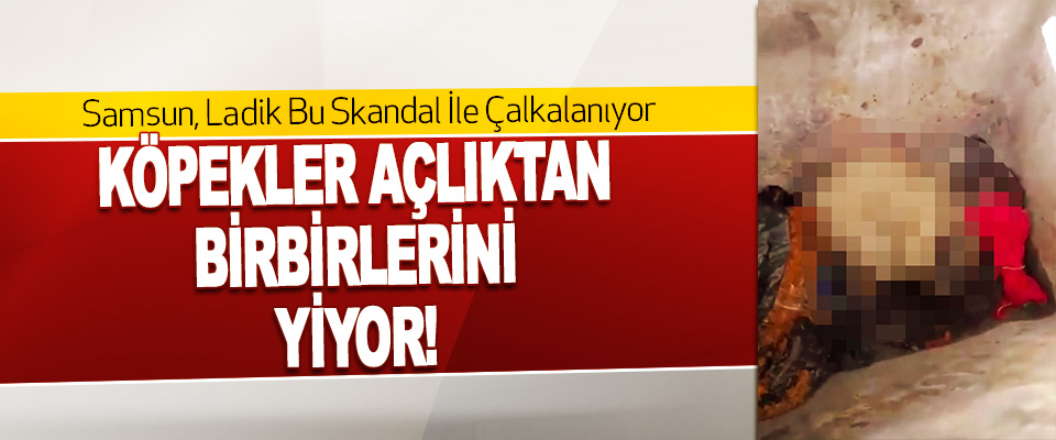 Samsun, Ladik'teki Skandal İle Çalkalanıyor
