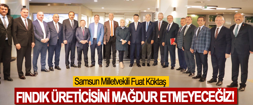 Samsun Milletvekili Fuat Köktaş:Fındık üreticisini mağdur etmeyeceğiz!