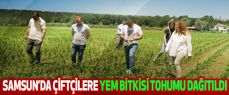 Samsun’da Çiftçilere Yem Bitkisi Tohumu Dağıtıldı