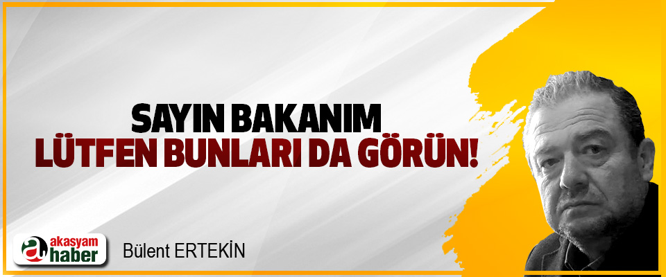 Sayın bakanım, Lütfen bunları da görün!