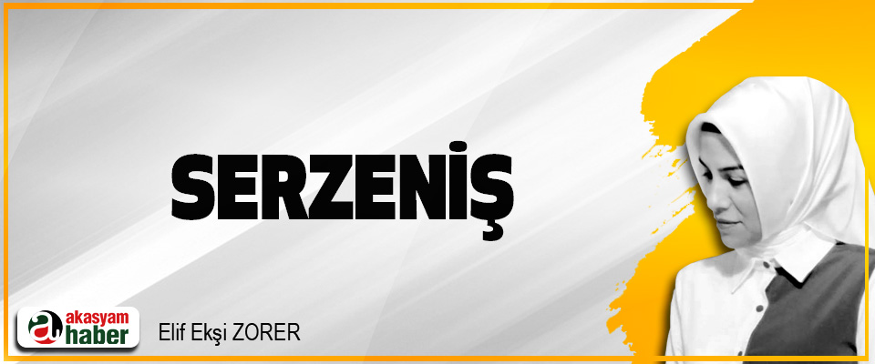 Serzeniş