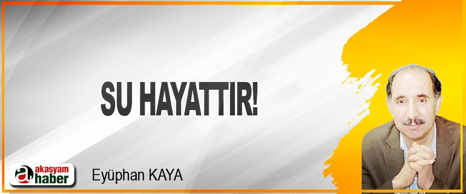 Su hayattır!