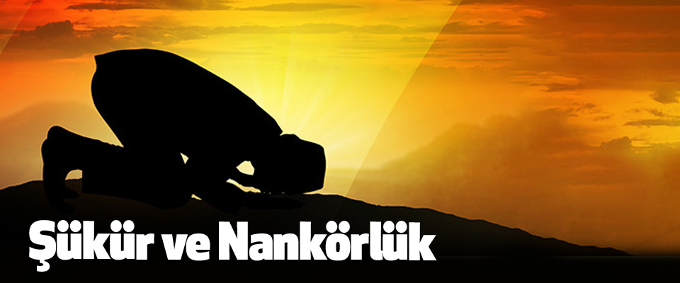 Şükür ve Nankörlük
