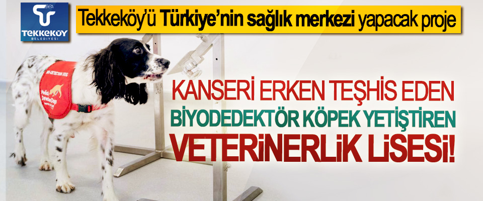 Tekkeköy’ü Türkiye’nin sağlık merkezi yapacak proje; Kanseri erken teşhis eden biyodedektör köpek yetiştiren veterinerlik lisesi!