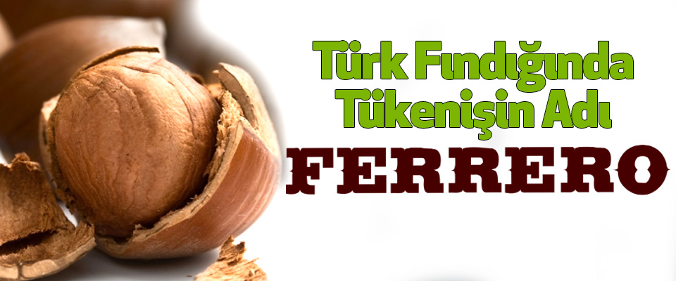 Türk Fındığında Tükenişin Adı Ferrero