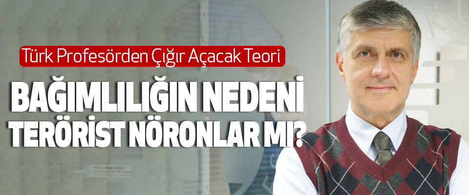 Türk Profesörden Çığır Açacak Teori
