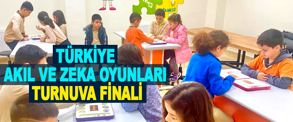 Türkiye Akıl ve Zeka Oyunları Turnuva Finali