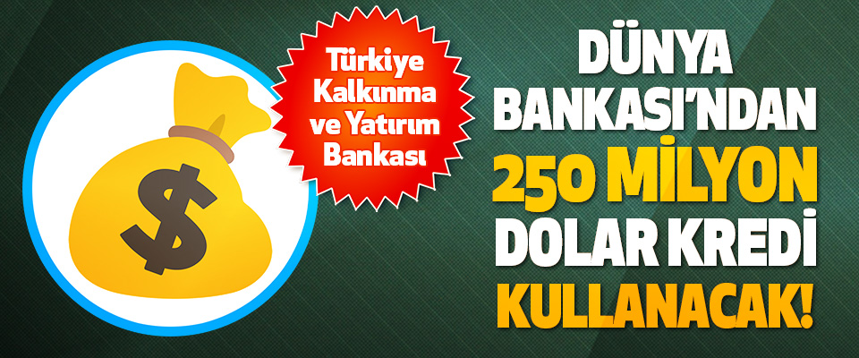 Türkiye Kalkınma ve Yatırım Bankası Kredi Kullanacak!