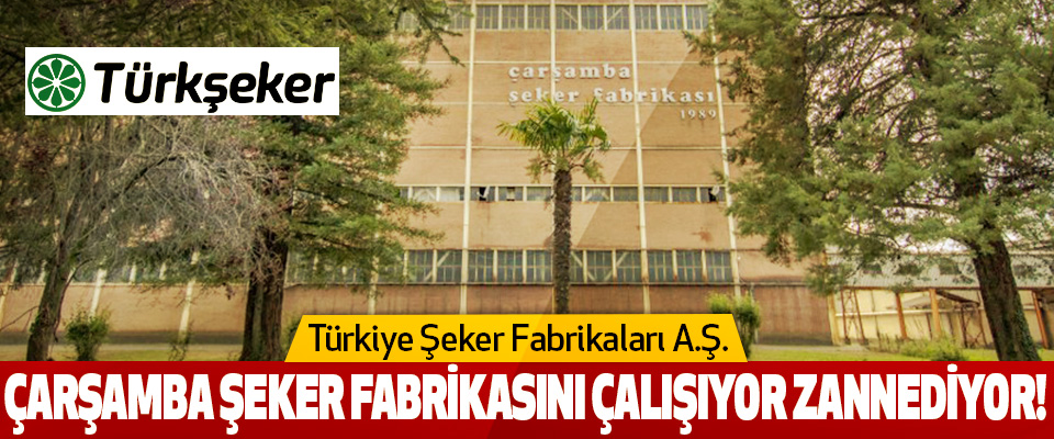 Türkiye Şeker Fabrikaları A.Ş.  Çarşamba şeker fabrikasını çalışıyor zannediyor!