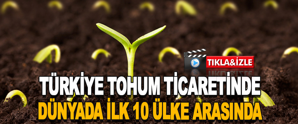 Türkiye Tohum Ticaretinde Dünyada İlk 10 Ülke Arasında