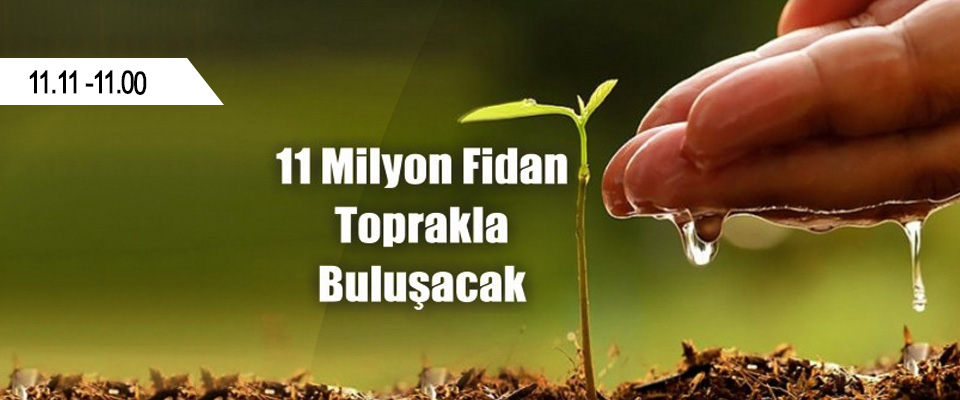 Türkiye’de 11 Milyon Fidan Toprakla Buluşuyor!