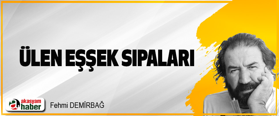 ülen eşşek sıpaları