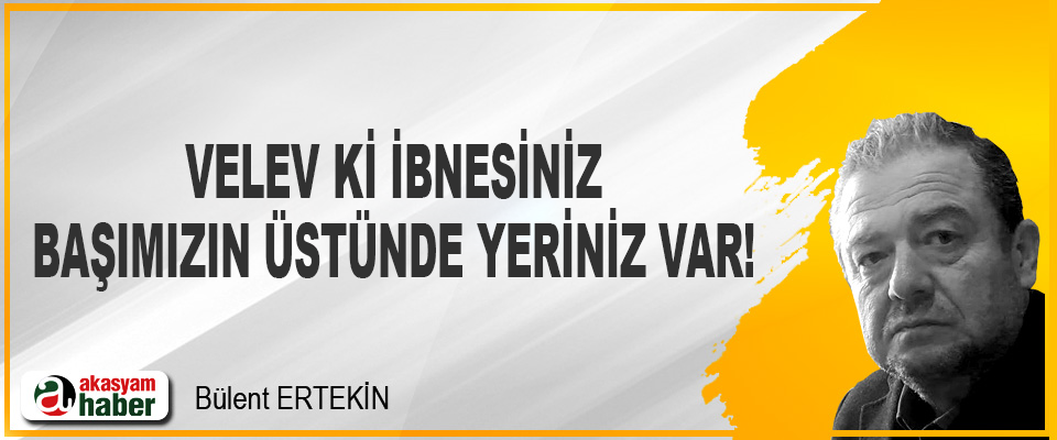 Velev ki ibnesiniz başımızın üstünde yeriniz var!