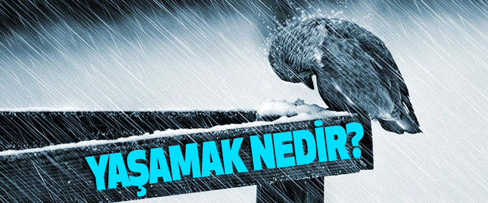 Yaşamak nedir?
