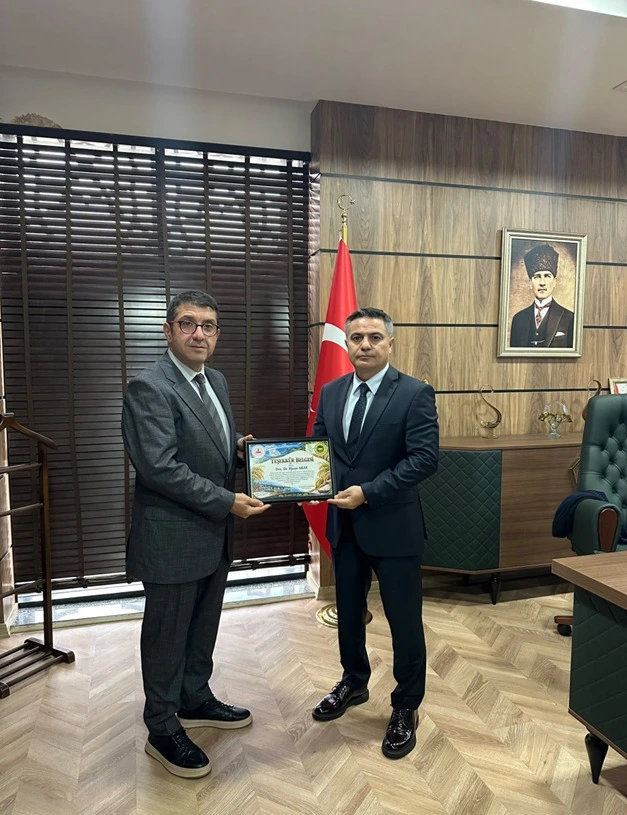 Bafra Pirinci coğrafi işaretle tescillendi