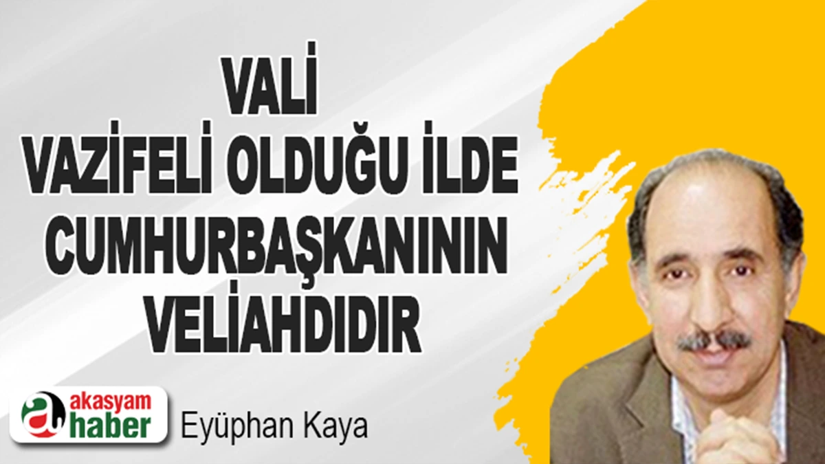 Vali vazifeli olduğu ilde cumhurbaşkanının veliahdıdır